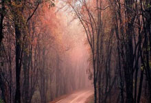 森保一赛前:首发会更换至少两人,但无论谁首发都希望能拿下胜利.