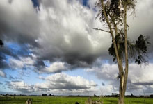 加斯佩里尼:直到出现那次红牌事件前,我们都不落下风.