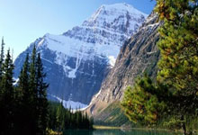 杏彩体育官网：[CBA]弗格三双 辽宁轻取福建.