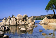 “陈芋汐比全红婵有格局”,同济大学新生报到,陈芋汐专业引热议.